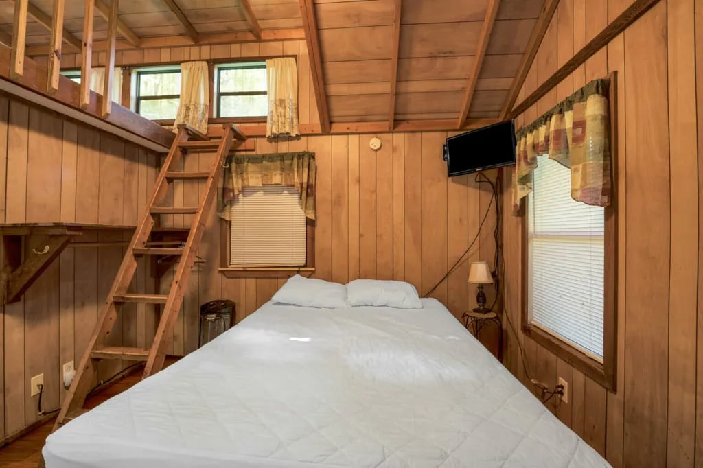 Yogi in the smokies gallery 3