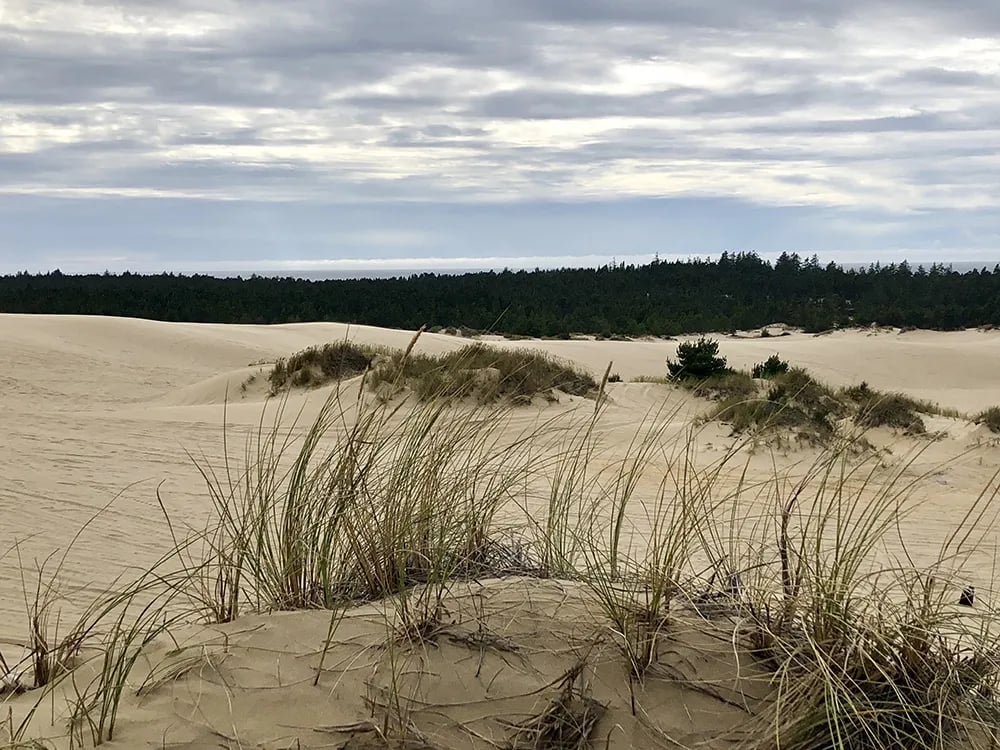 Boxcar Hill Campground gallery 1