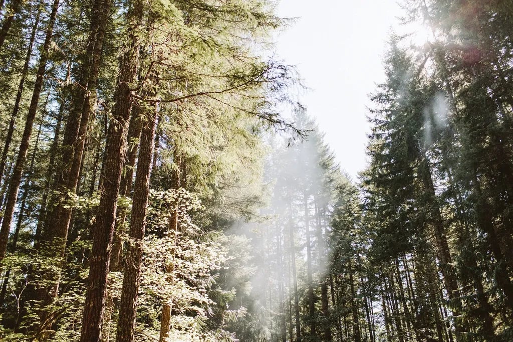 Skokomish Park at Lake Cushman