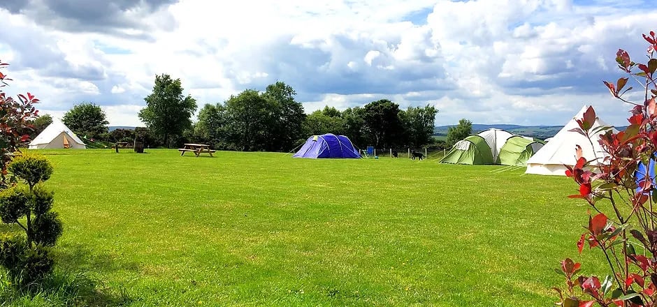 Bonnybridge Eco Camping and Glamping gallery 2