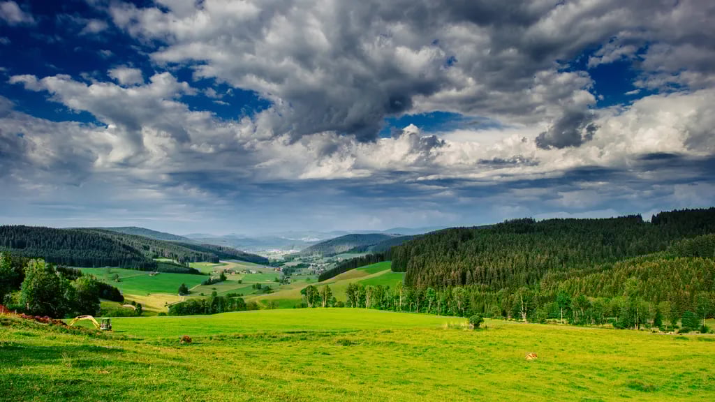 Haberjockelshof gallery 3