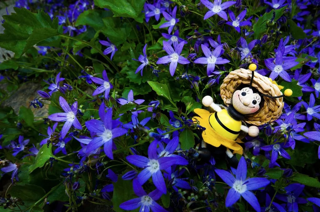 Na Samotě U Včelína gallery 2