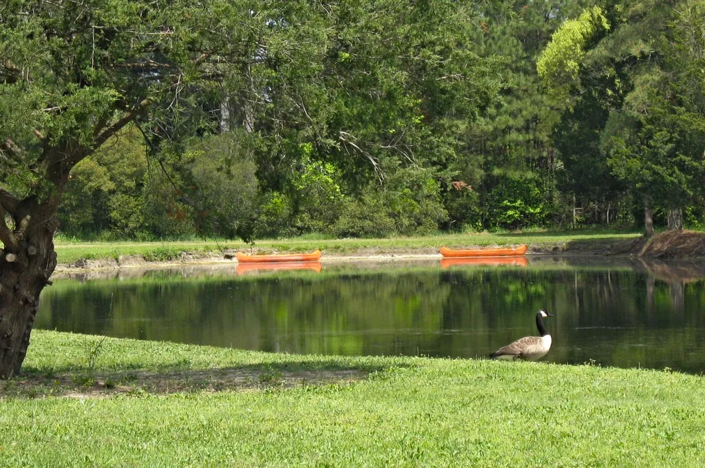 Thousand Trails Virginia Landing gallery 1