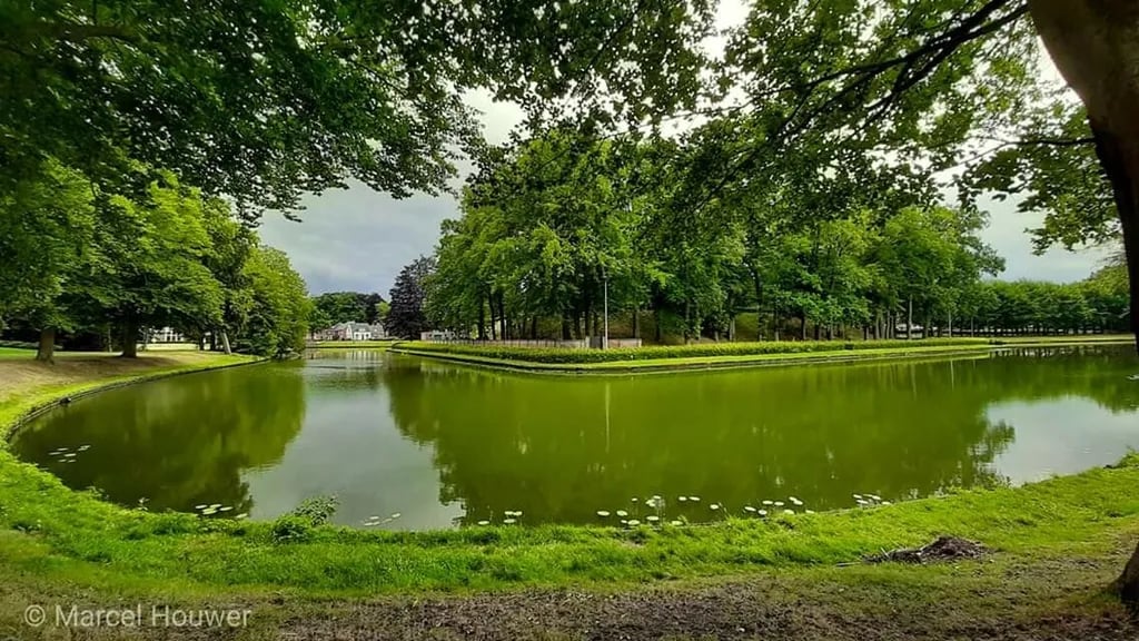 Mieke De Jong gallery 2