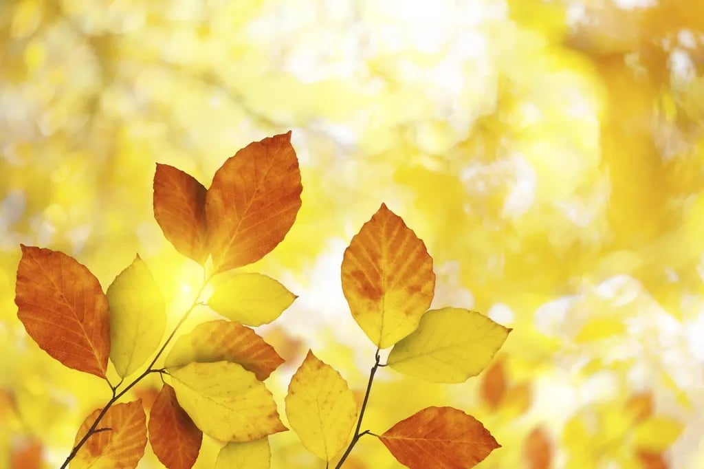 Camping Paradies Franken