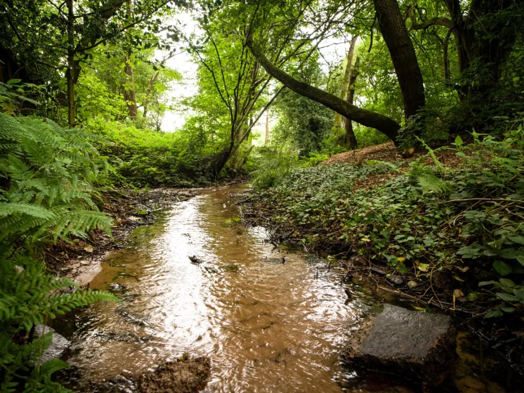Whitegate Farm Camping
