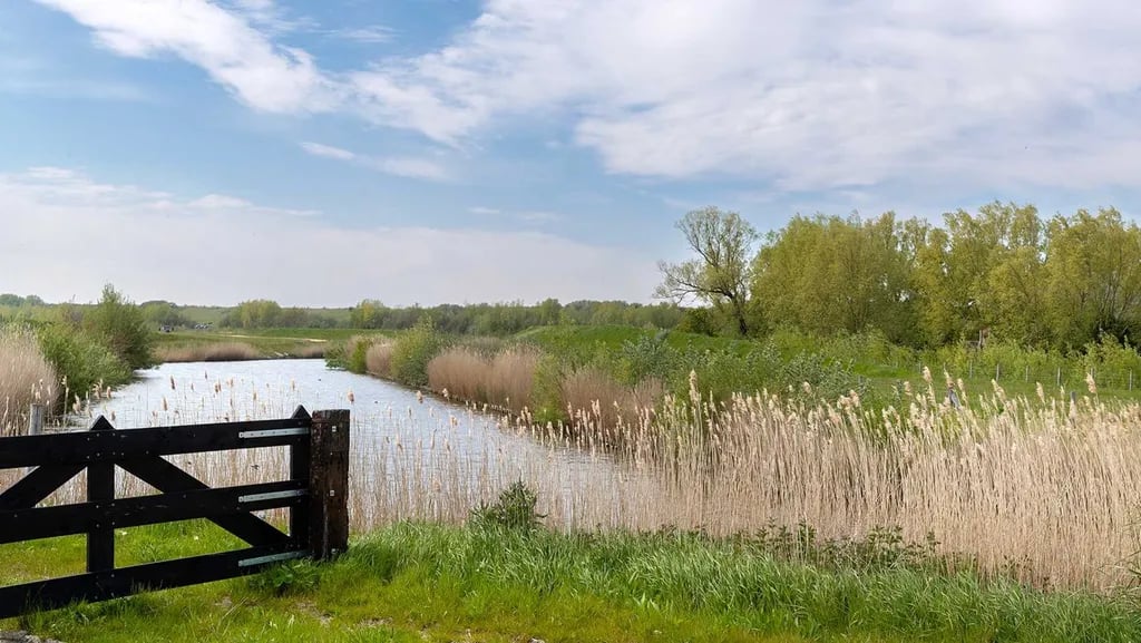 Molecaten Park Hoogduin