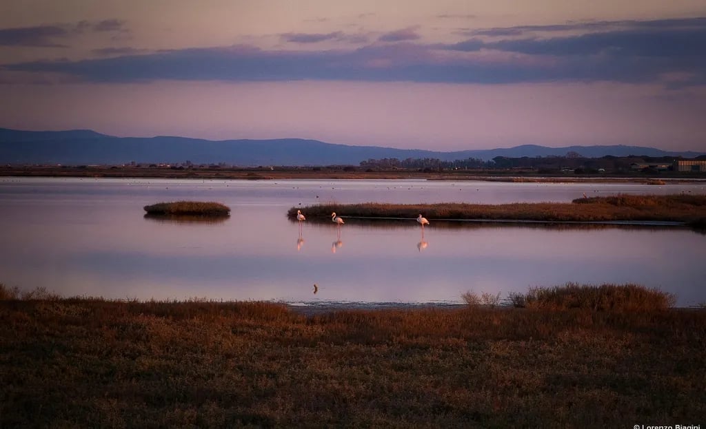 Camping Village Il Fontino gallery 2