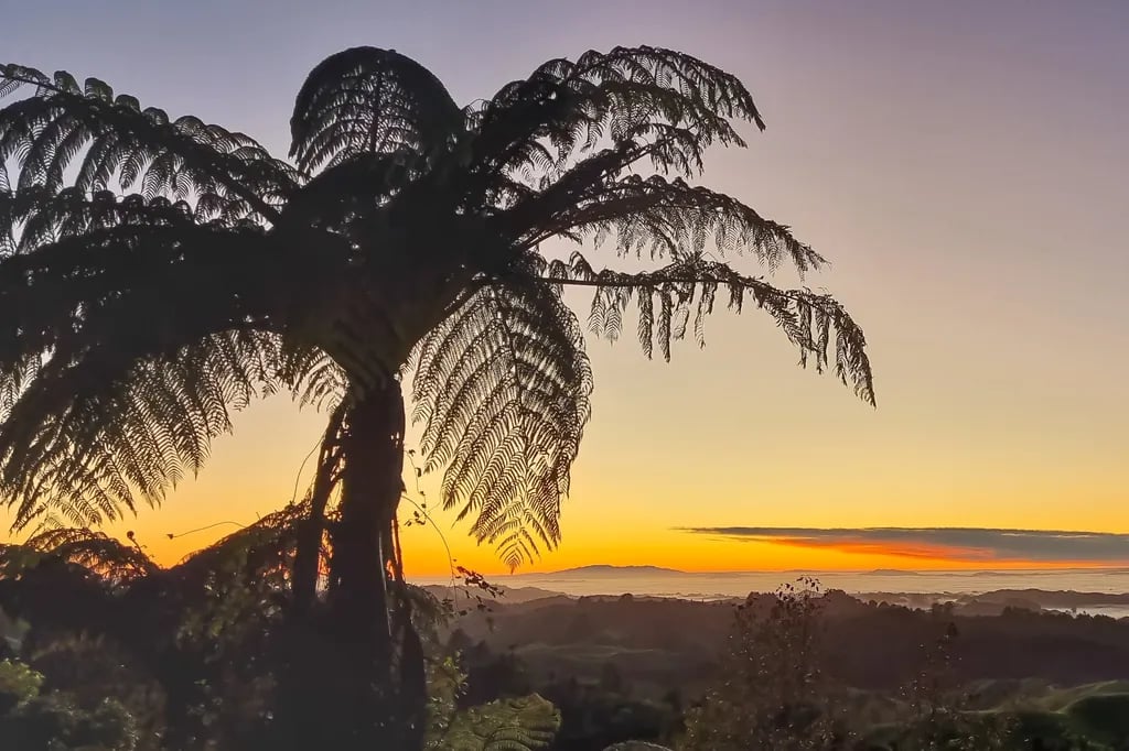 Te Tiro Accommodation gallery 1