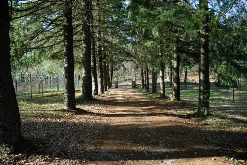 Campeggio Le Fontanelle