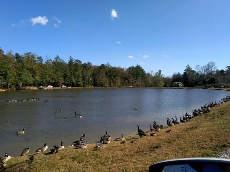 Rutledge Lake RV Resort gallery 3