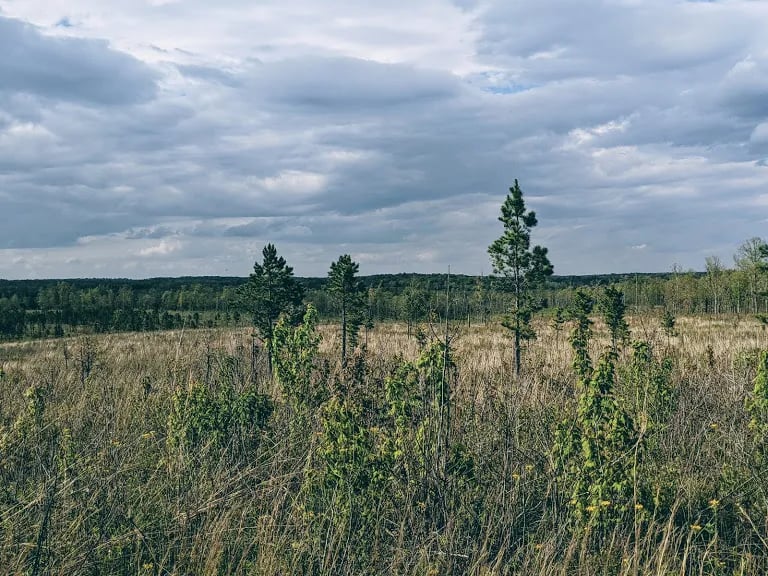Peavine Campground (Catoosa Wildlife Management Area) gallery 3