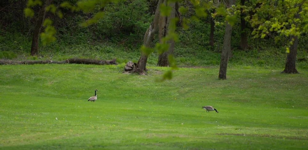 R Campground, Inc gallery 3