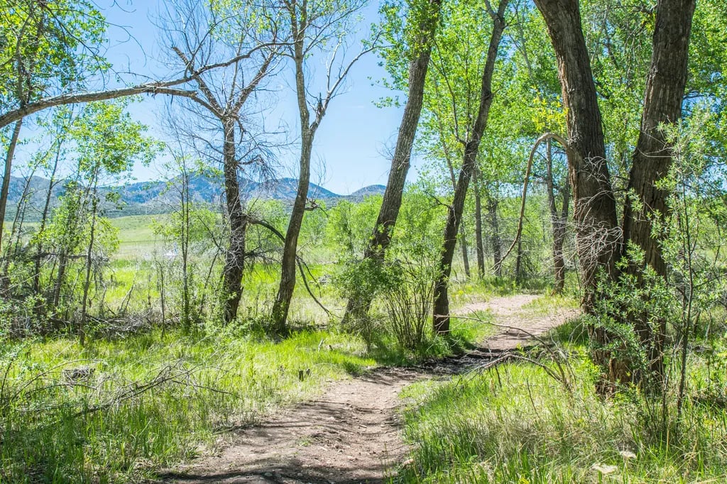 Chatfield State Park gallery 3