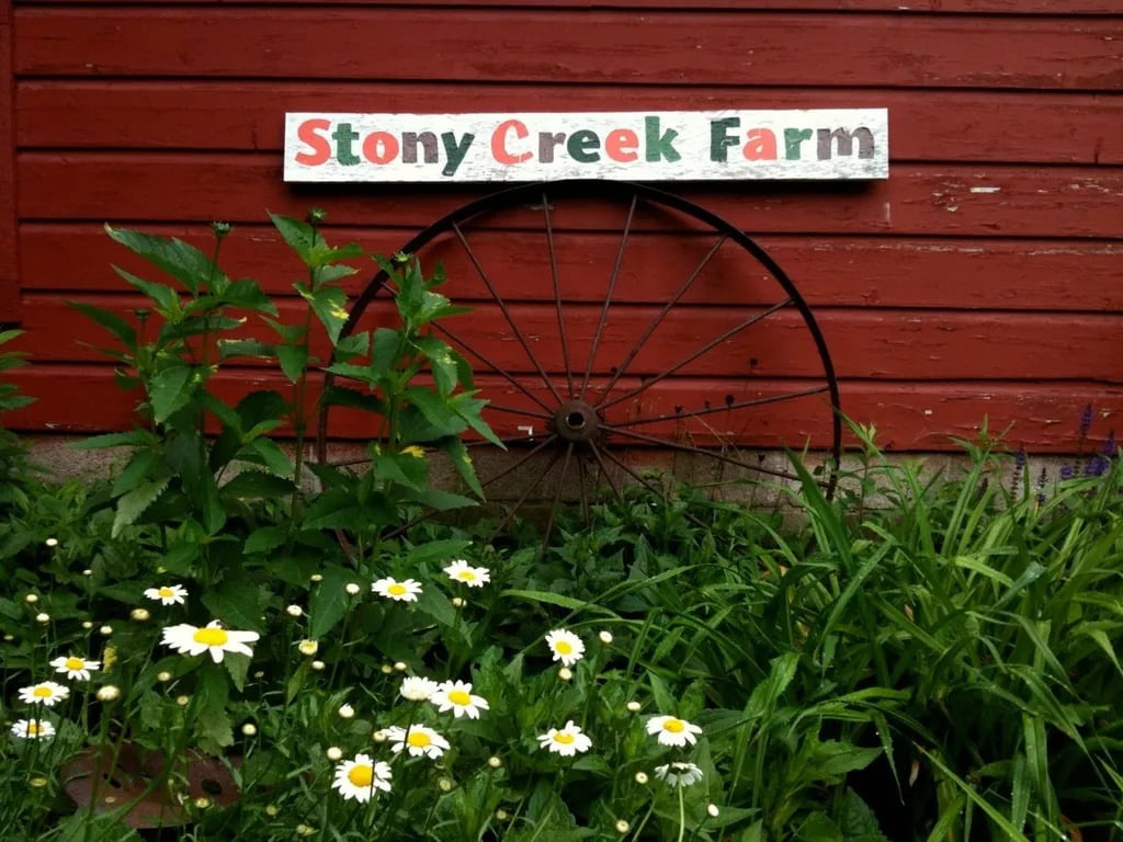 Stony Rose Farms