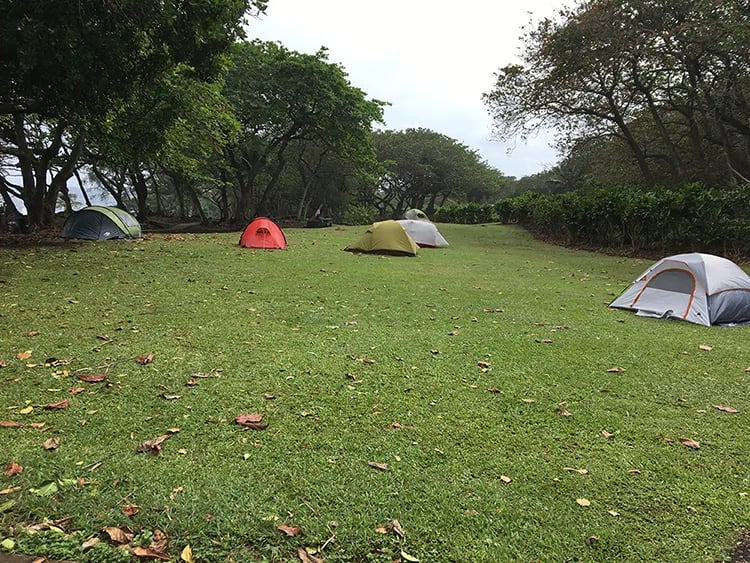 Waiʻanapanapa State Park Campground gallery 1