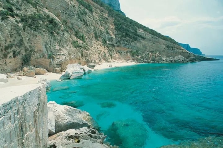 Camping Cigno Bianco gallery 2