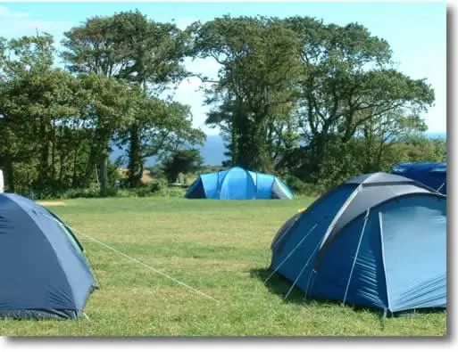 Trewince Farm Touring gallery 1