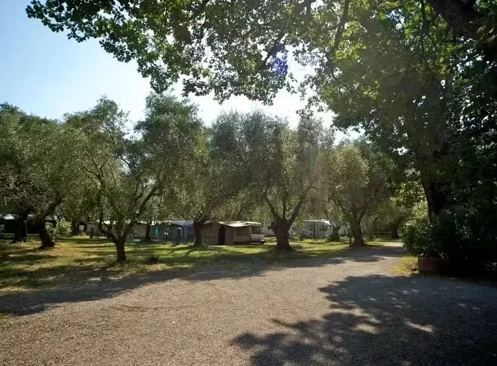 Camping Village Il Fontino gallery 3