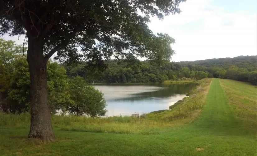 Ben Branch Lake Conservation Area gallery 1