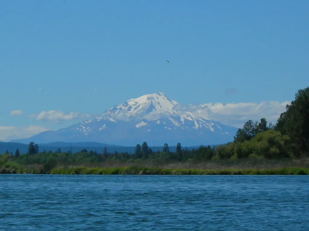 Julia Pfeiffer Burns SP Environmental Campsite