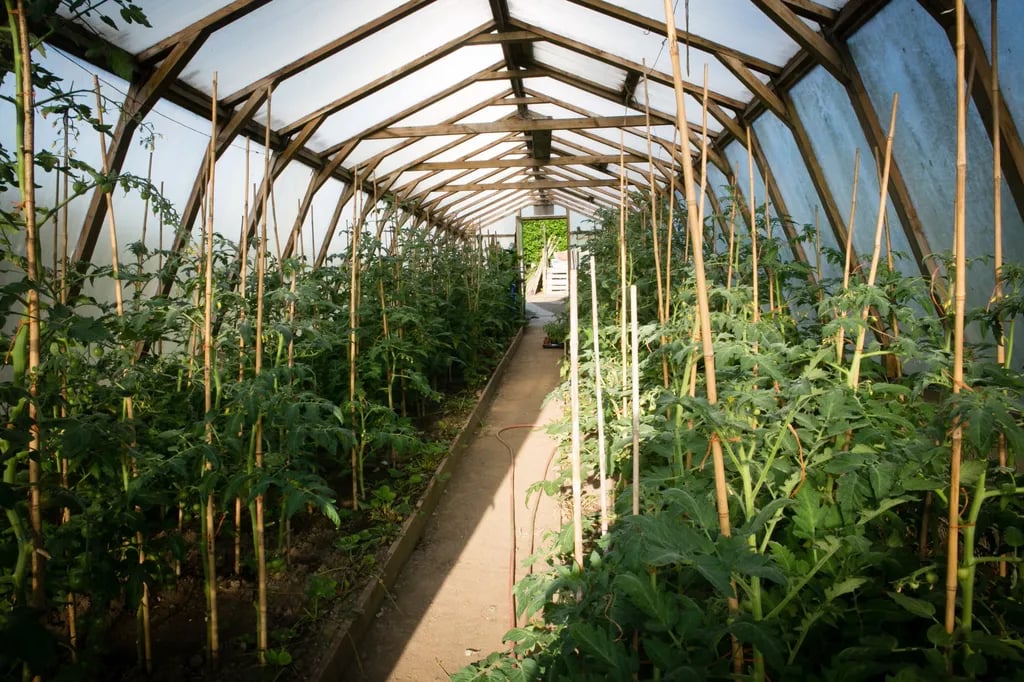 Trevayne Farm Caravan and Camping Park gallery 3