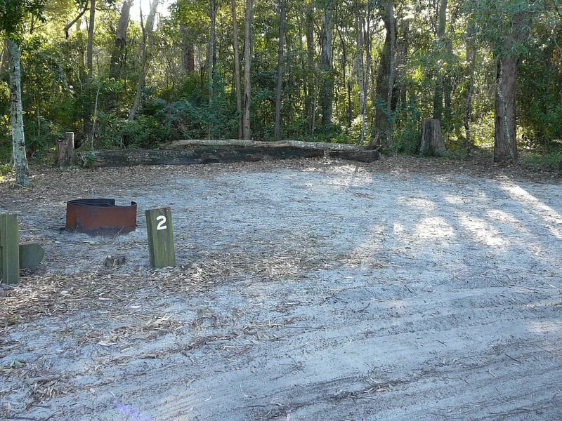 Bribie Island National Park and Recreation Area gallery 1