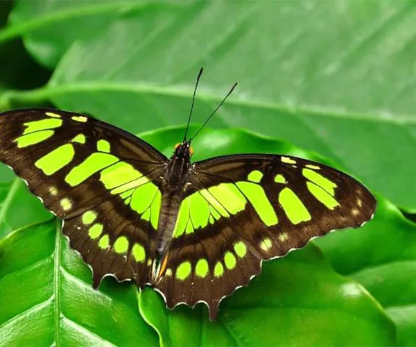 Huttopia Calvados – Normandie gallery 2