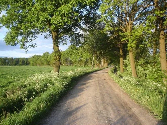 Camping De Coolewee gallery 2