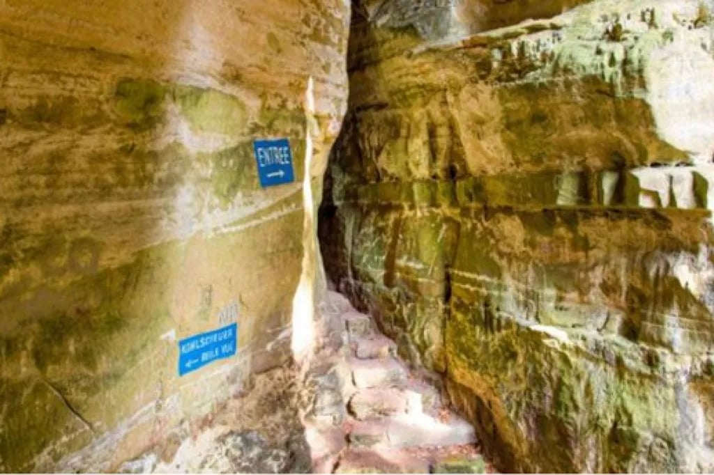 Camping La Pinède gallery 2