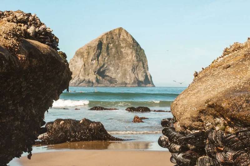 Cape Kiwanda RV Resort and Marketplace gallery 2