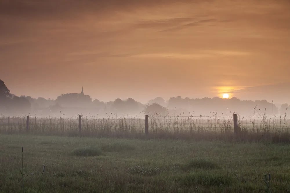 De Vetweide gallery 1