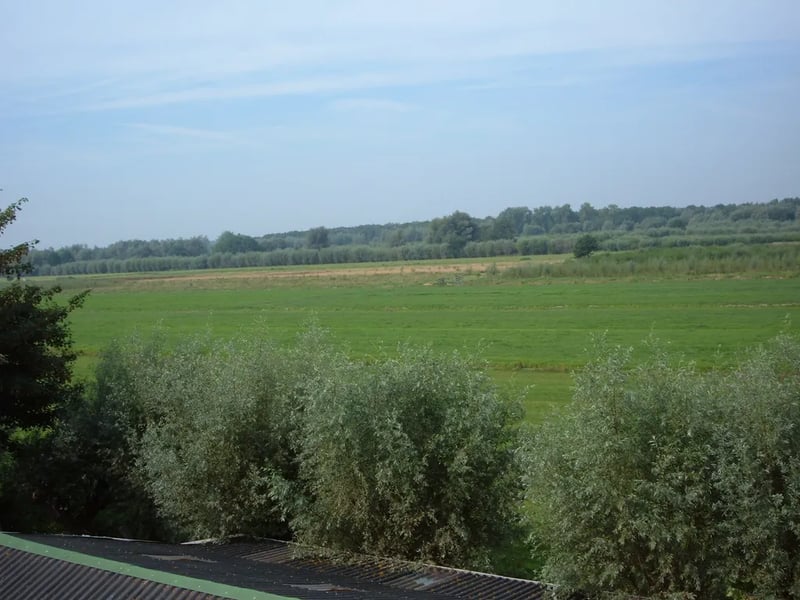 Camping Bij Nader Inzien gallery 3