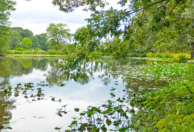 Thousand Trails Williamsburg gallery 3