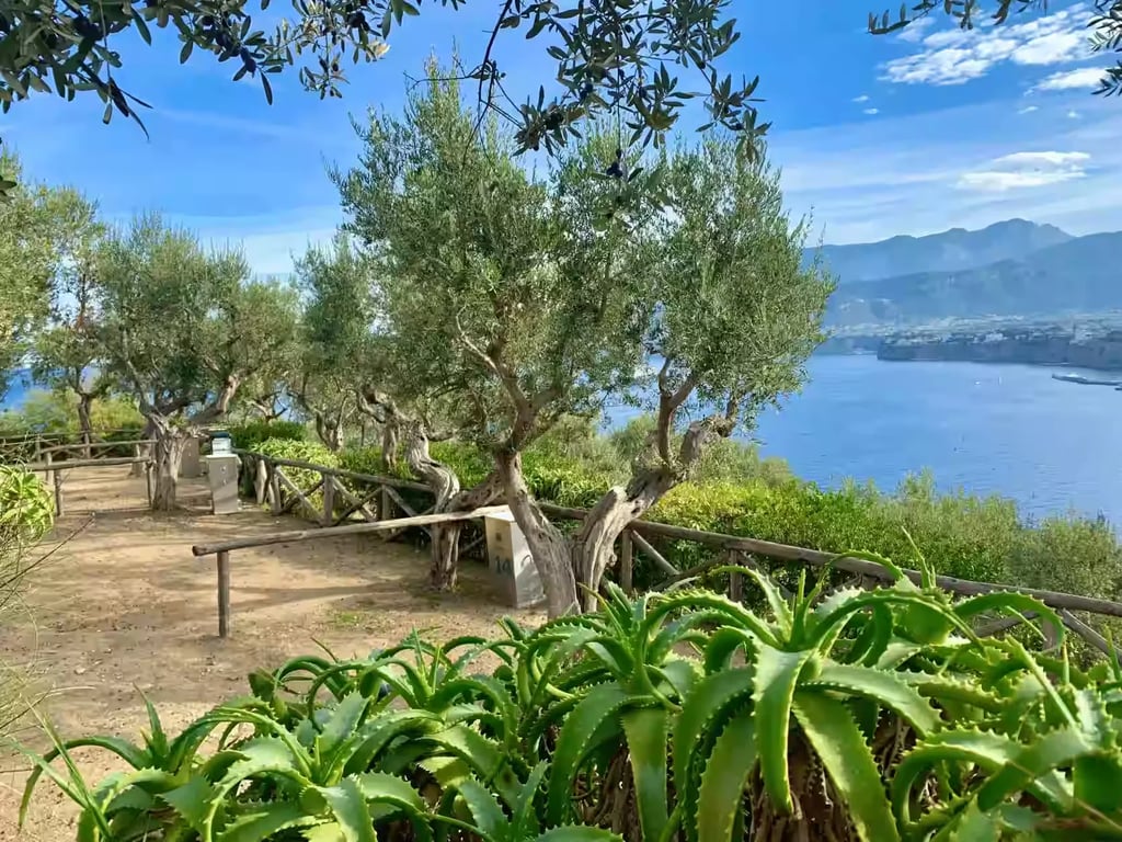 Campeggio Beata Solitudo