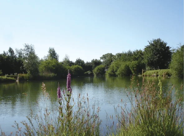 Woodstock Farm Caravan Site gallery 2