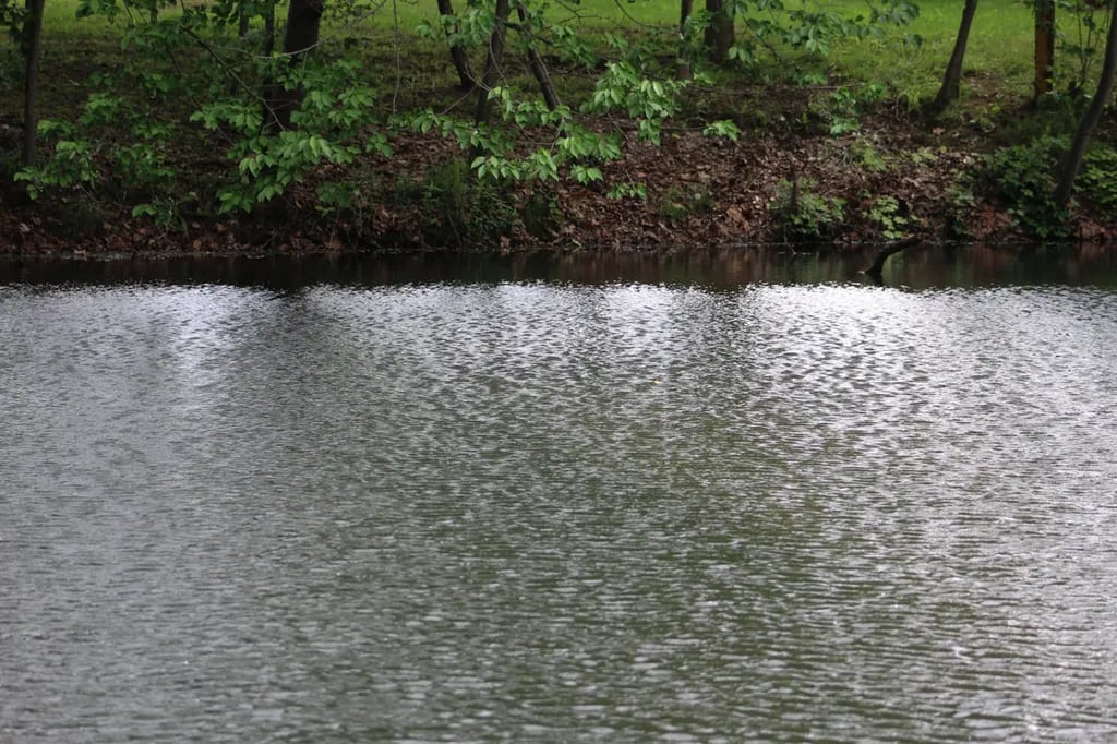 Schaun Acres Campgrounds gallery 1