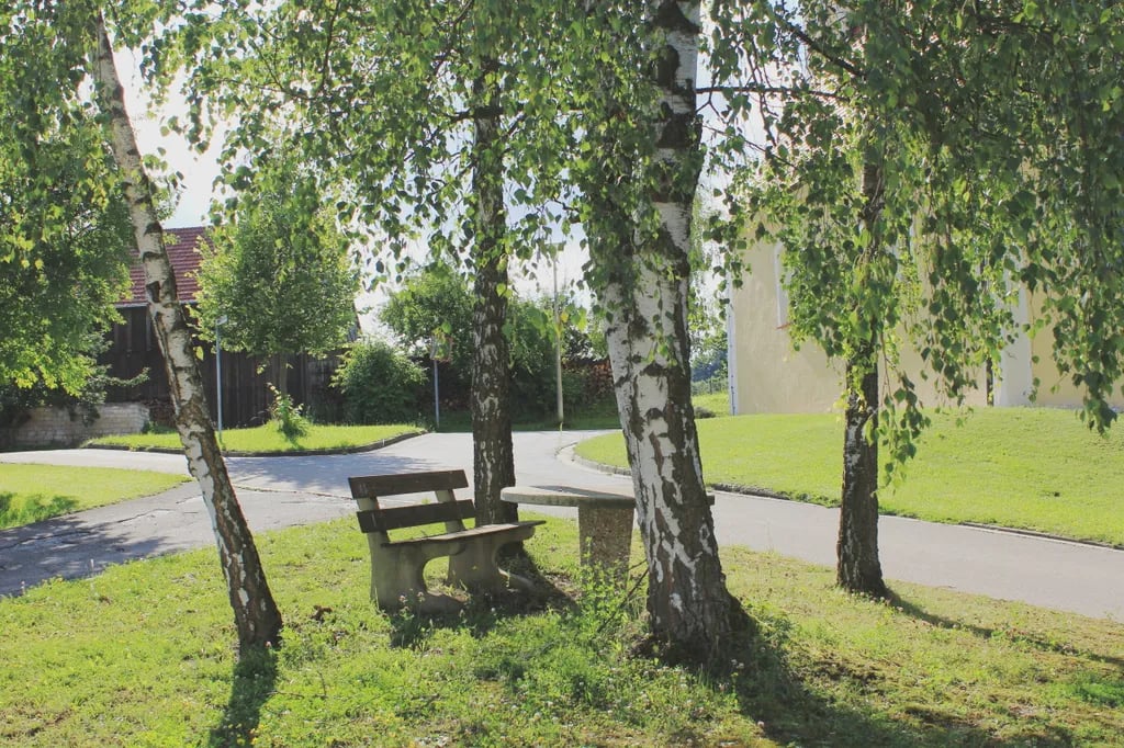 Camping am Hauenstein gallery 1