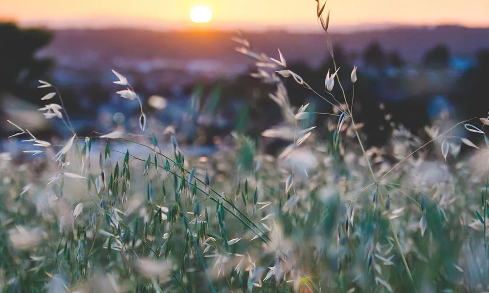 Fjällbackacamping gallery 3