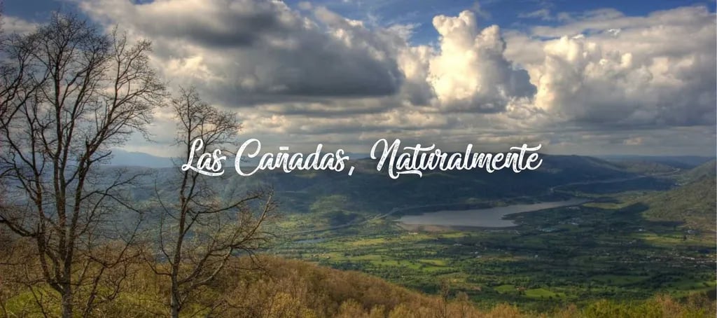 Camping Bungalows Las Cañadas gallery 3