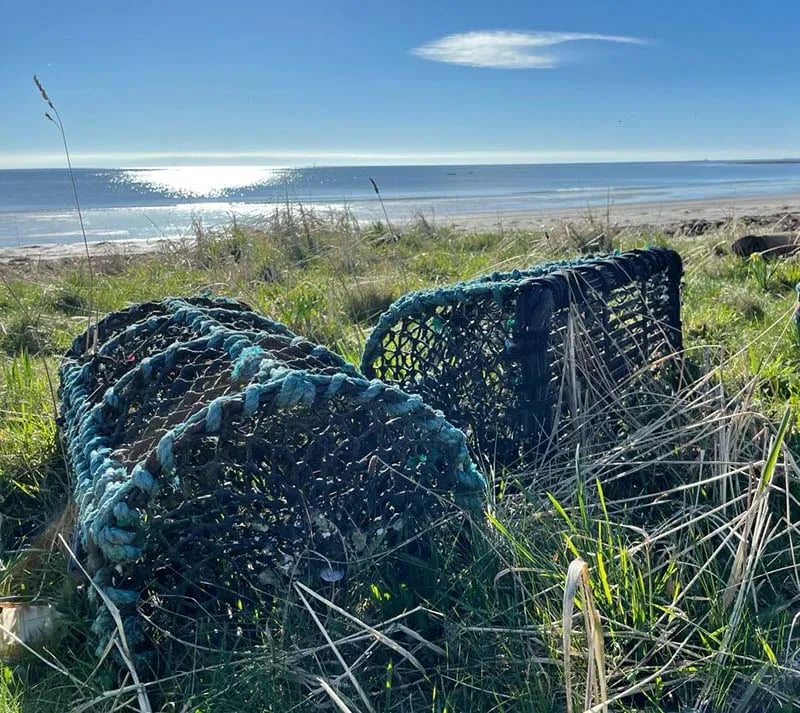 Coast and Castles Campsite gallery 3