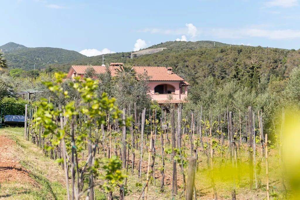 Agricampeggio De Santis gallery 2