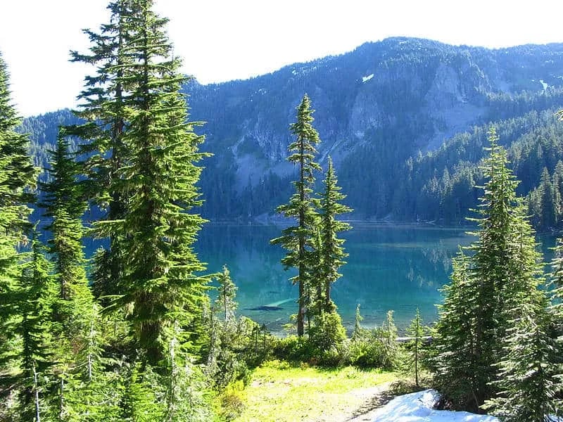Mowich Lake Campground — Mount Rainier National Park gallery 3
