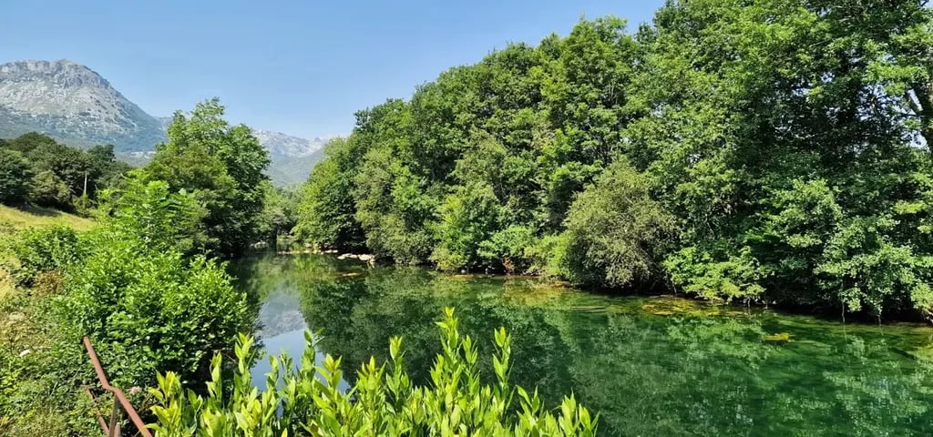 Camping Ramales gallery 3