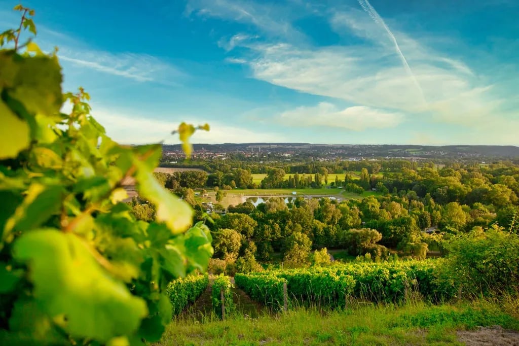 Camping an der Rudelsburg gallery 3