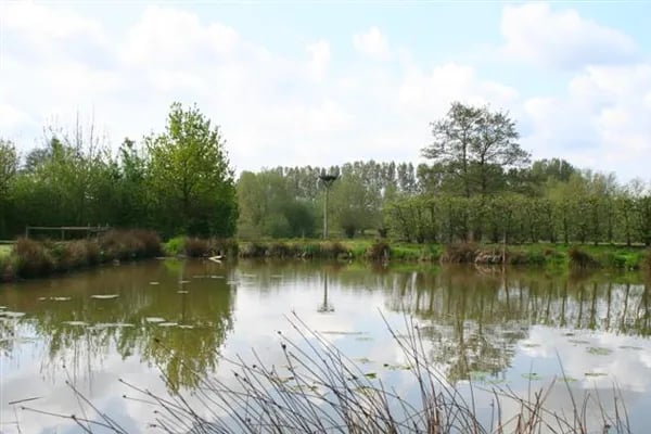 Camping De Donkershoeve gallery 2