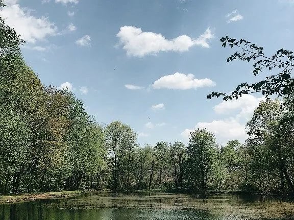 Pinch Pond Family Campground & RV Park gallery 3