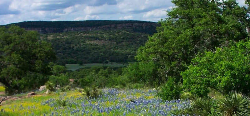 Shady Oaks RV Park gallery 1