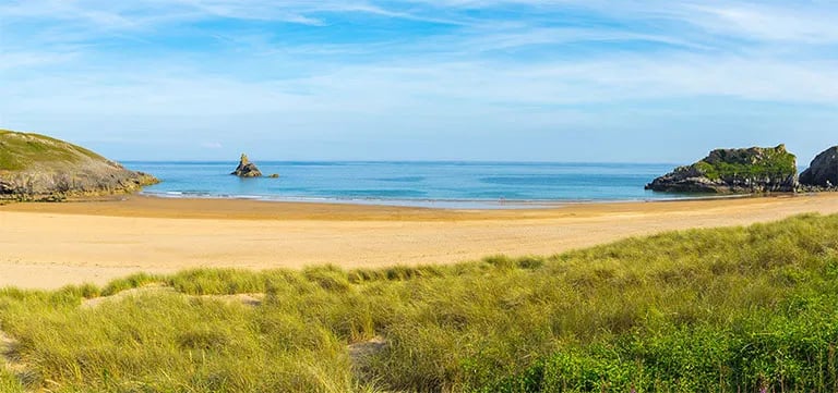 Canvas and Campfires gallery 1