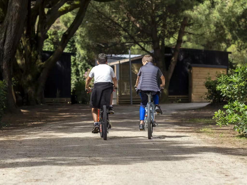 Flower Camping Tamarins Plage gallery 2